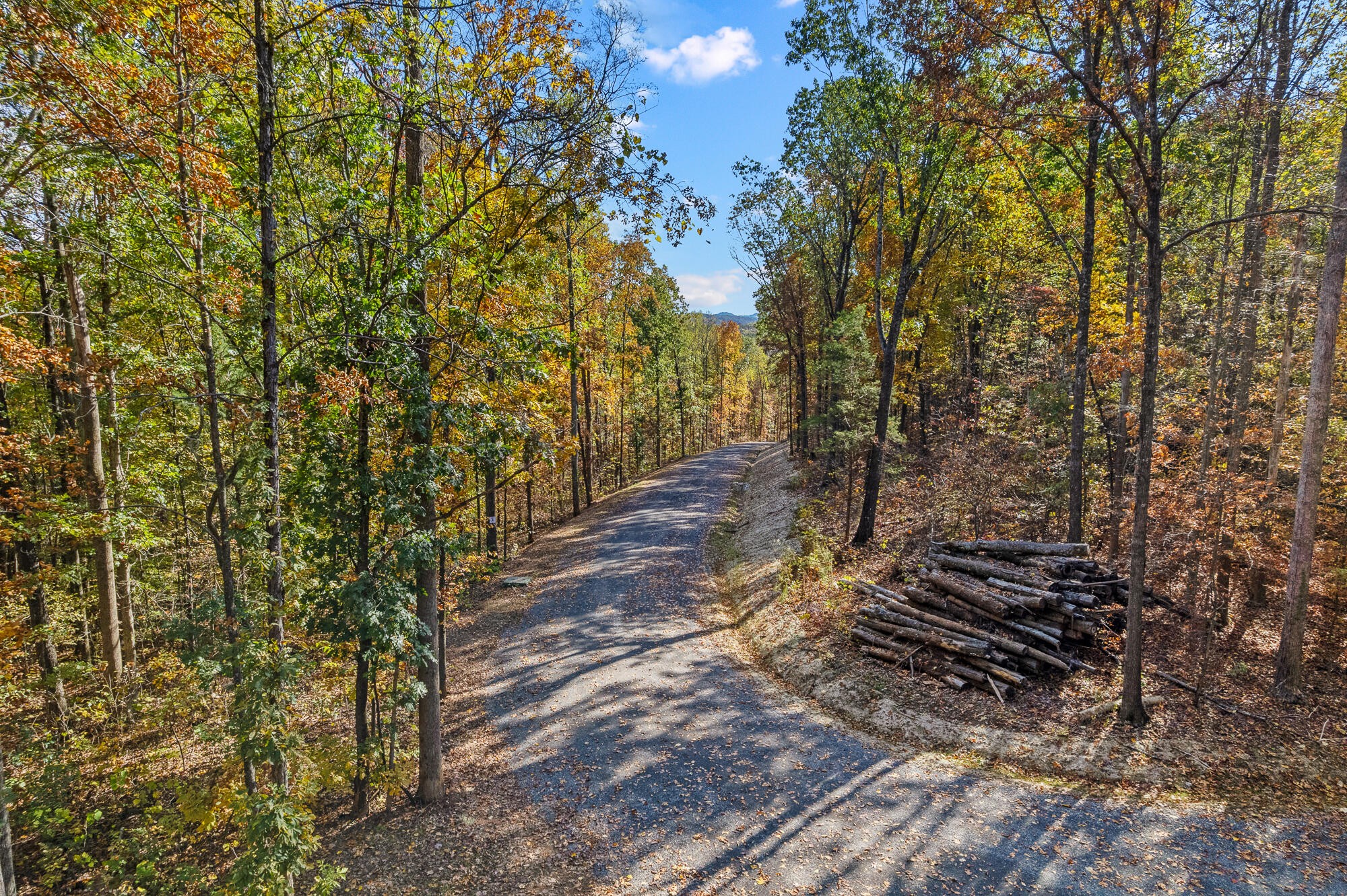 29 County Road Riceville, TN 37370 - Photo 19 of 29 Gallery Image 19