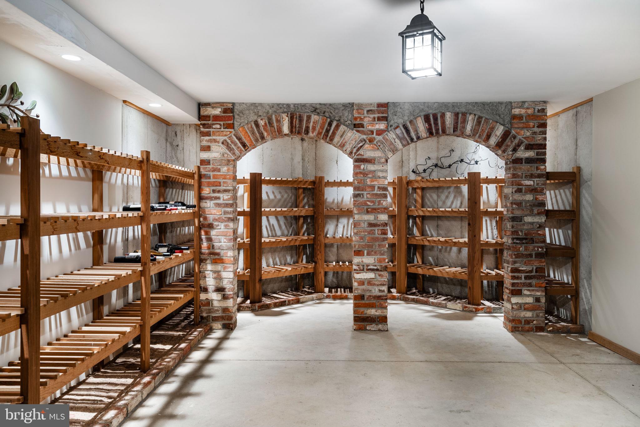 815 Brower Road Wayne, PA 19087 - Photo 70 of 84 Stunning Huge Wine Cellar