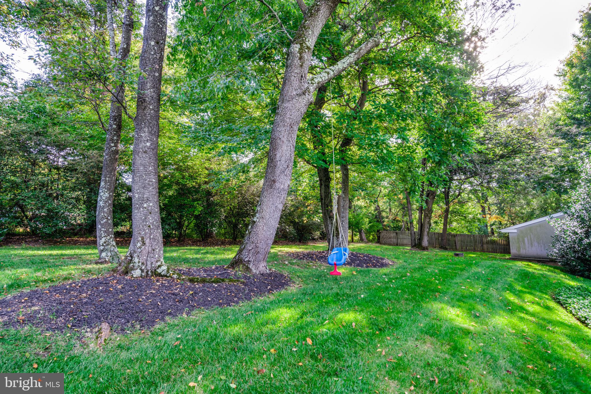815 Brower Road Wayne, PA 19087 - Photo 79 of 84 Backyard