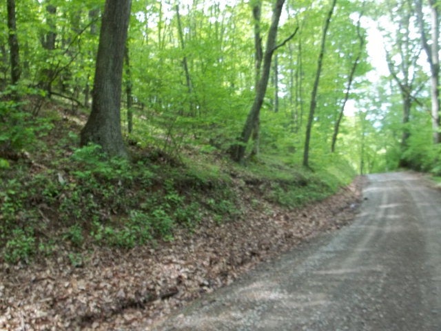 Tbd Briar Patch Mountain Road Fries, VA 24330 - Photo 2 of 2 Gallery Image 2
