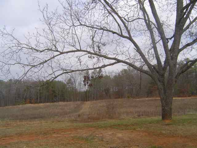 8156 Indian Mound Road Waterloo, SC 29384 - Photo 9 of 11