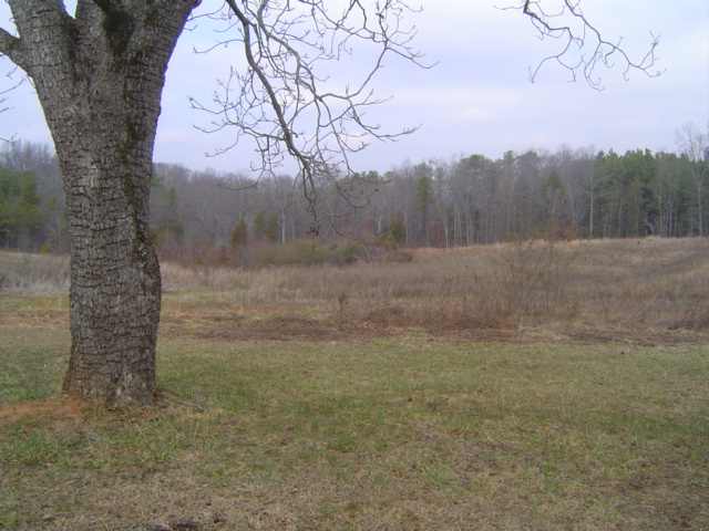 8156 Indian Mound Road Waterloo, SC 29384 - Photo 10 of 11