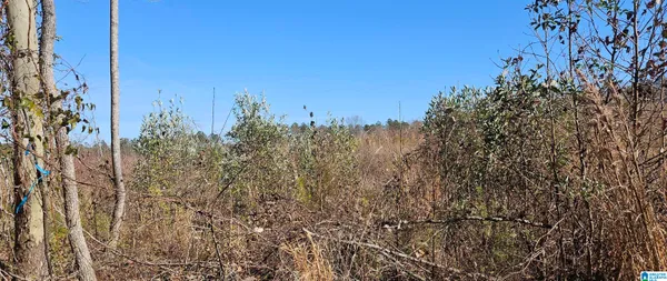 $480,000 | 0 Highway 139 Randolph Al, Unit 117 ACRES, Randolph, AL 36792
