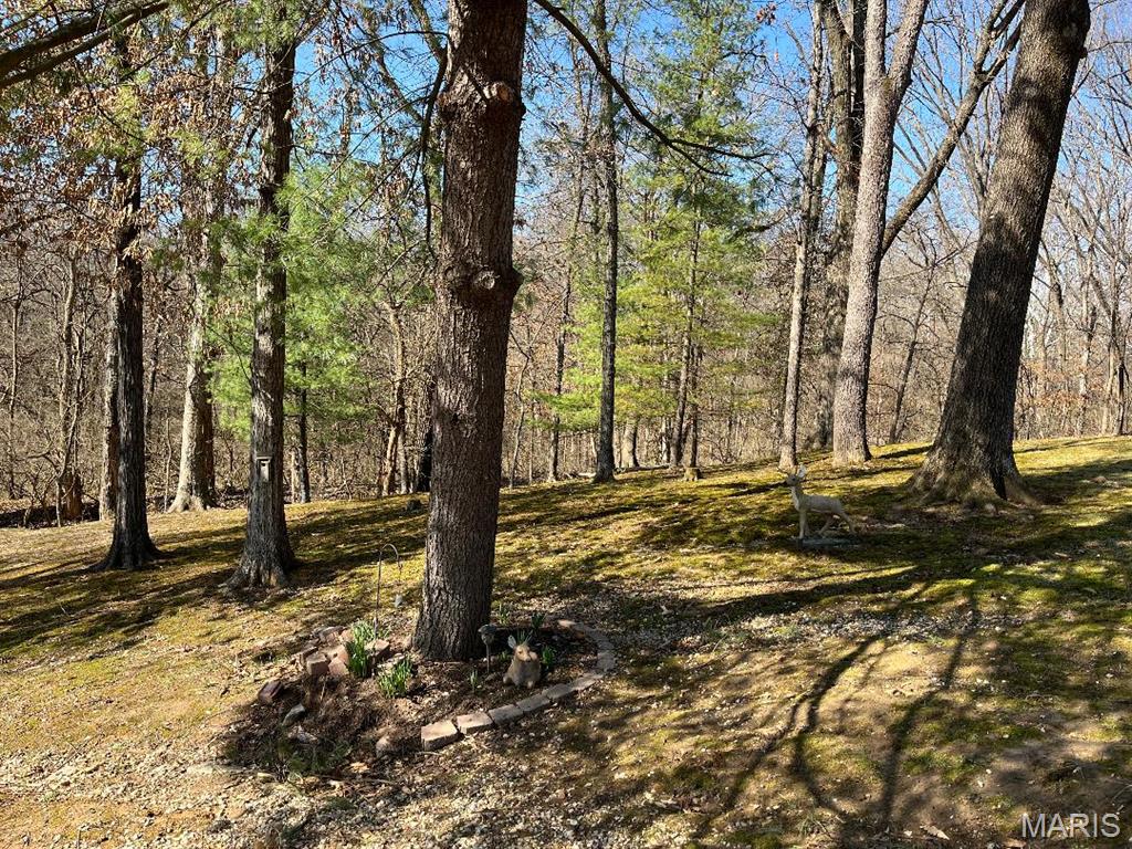 2206 Gillis Street Alton, IL 62002 - Photo 20 of 20