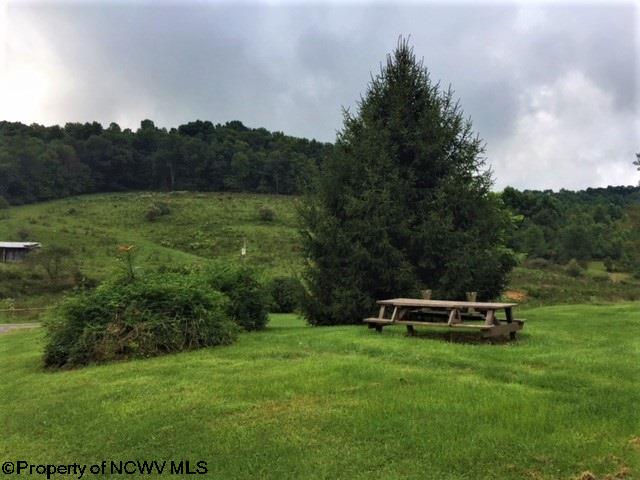 2937 Yorks Run Road Newburg, WV 26410 - Photo 4 of 17 Gallery Image 4