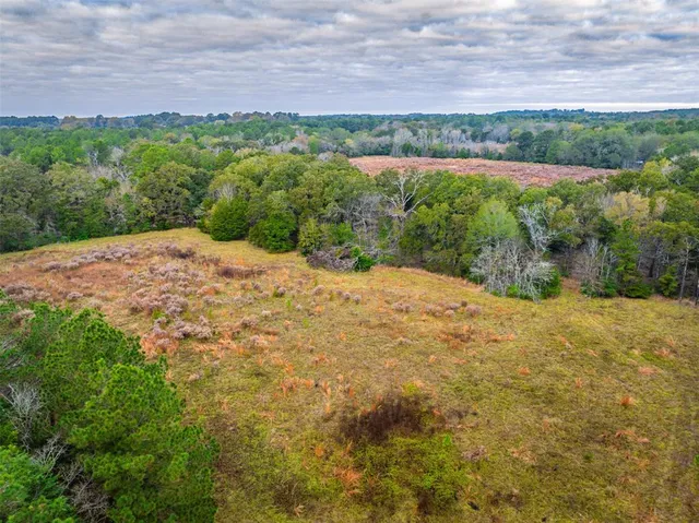 a view of a yard with a garden