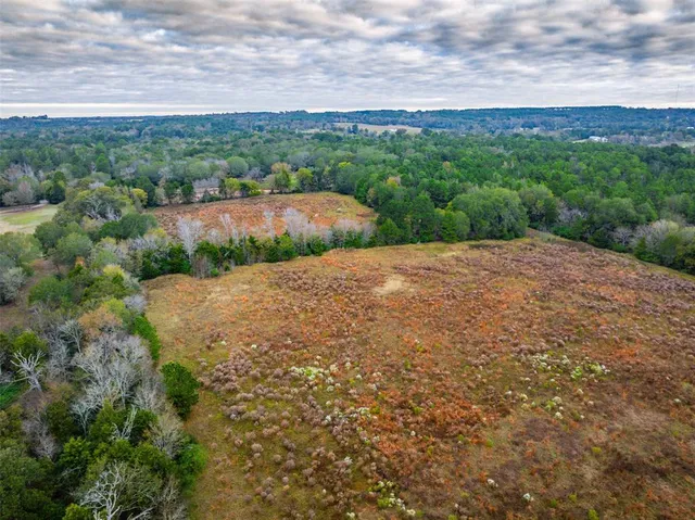 a view of a lake with a city