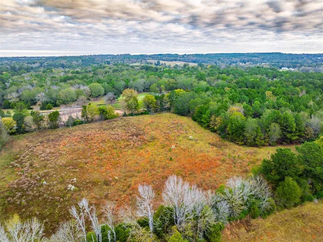 a view of a pathway both side of grassy field with shrub