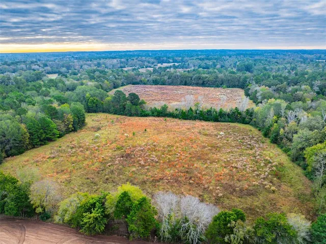 a view of a pathway with a yard