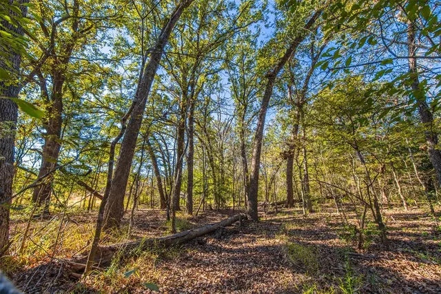 a backyard of a house with lots of trees