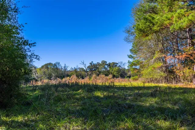 a view of a yard with a tree