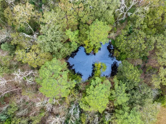 an aerial view of residential house with outdoor space and trees all around