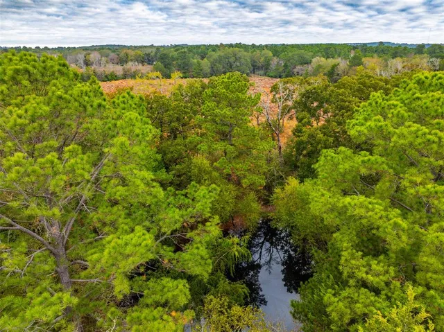 a view of a lake from a yard
