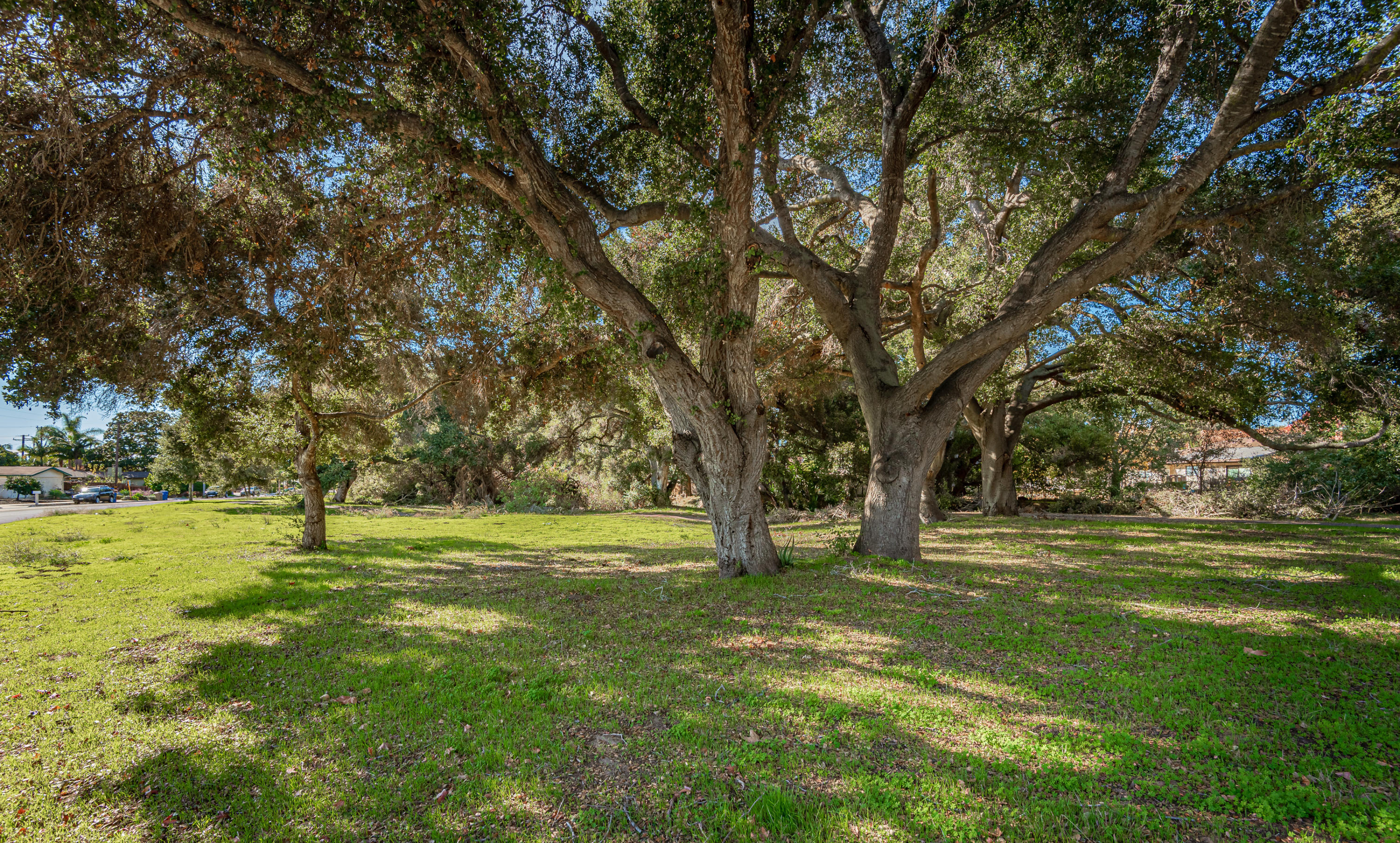 578 Ribera Drive Santa Barbara, CA 93111 - Photo 16 of 16 16-Walk to Park