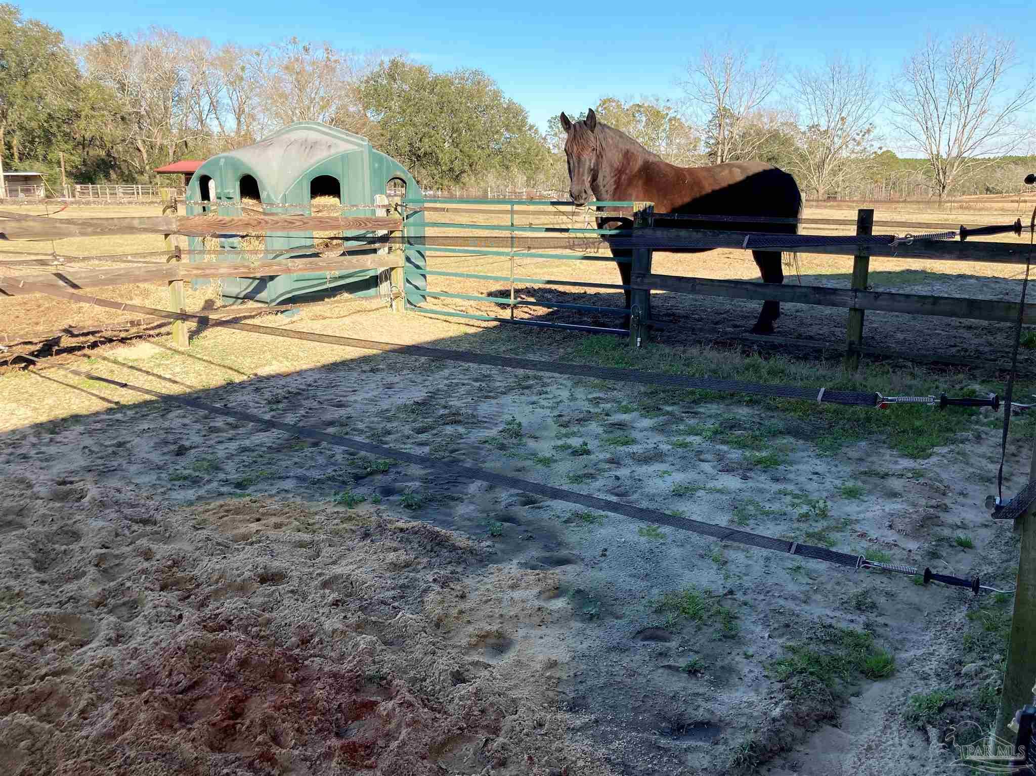 6009 Dairy Road Baker, FL 32531 - Photo 8 of 46
