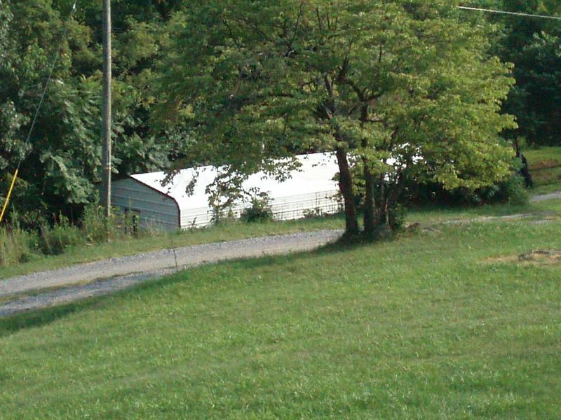 2884 Murray Hollow Road Thaxton, VA 24174 - Photo 11 of 19 Driveway