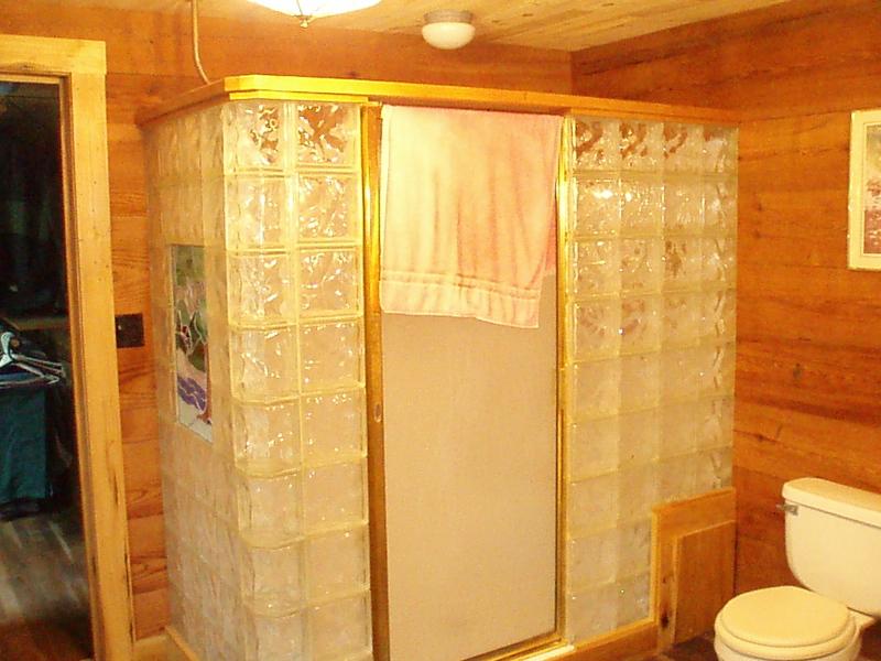 2884 Murray Hollow Road Thaxton, VA 24174 - Photo 16 of 19 Shower