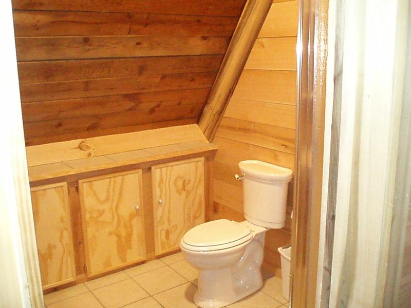 2884 Murray Hollow Road Thaxton, VA 24174 - Photo 5 of 19 Bathroom