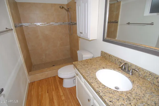 a bathroom with a granite countertop sink toilet and shower