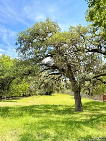 a view of yard with large trees