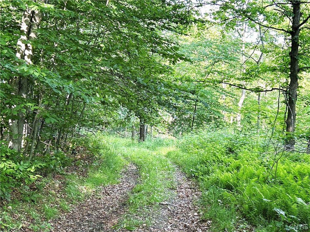 4891 Telephone Road Taylor, NY 13040 - Photo 31 of 42
