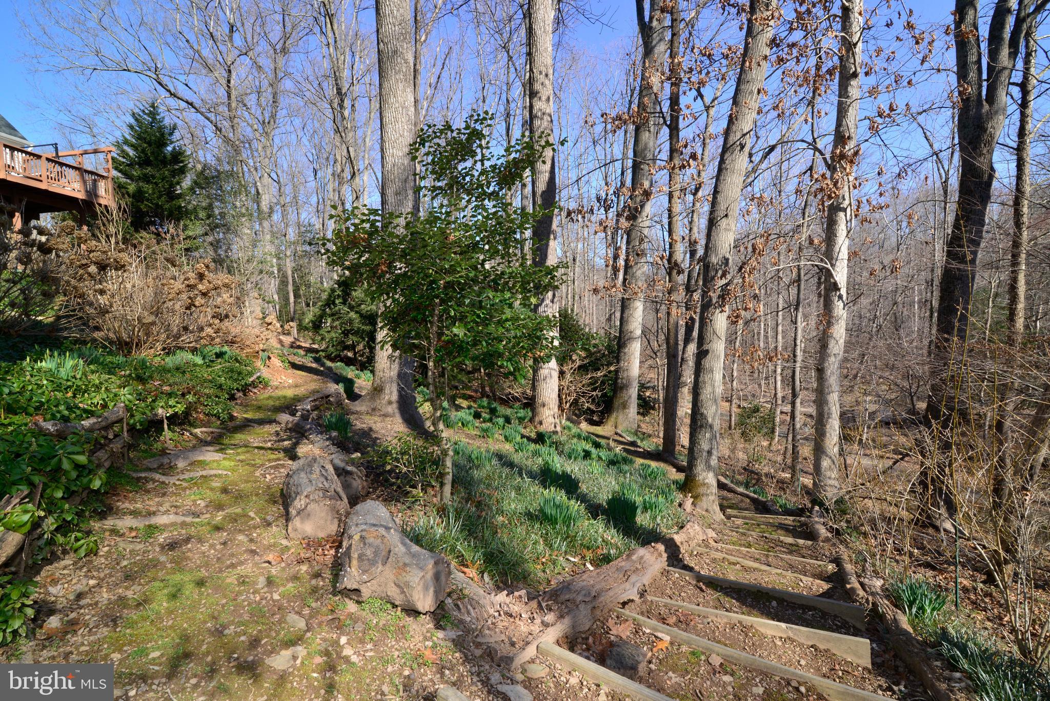 1966 Barton Hill Road Reston, VA 20191 - Photo 50 of 52 a backyard of a house with lots of green space