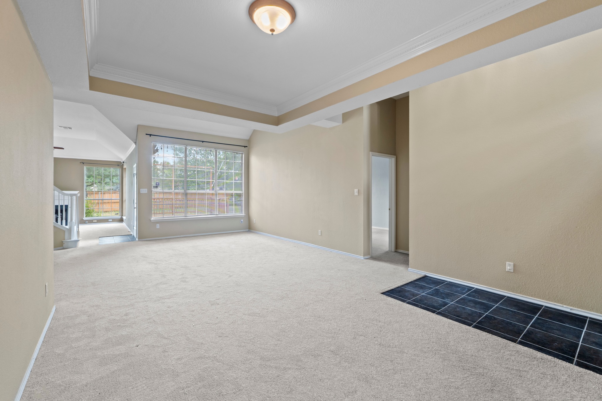 8605 Axis Drive Austin, TX 78749 - Photo 4 of 38 A spacious living area with abundant natural light, carpet flooring, and elegant crown molding.