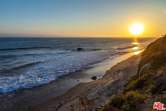 a view of backyard with table and chairs and a large tree