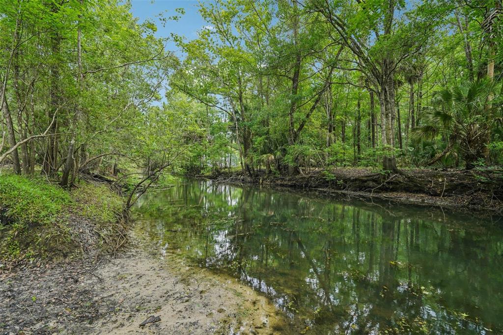 217 South Tuck Point Inverness, FL 34450 - Photo 5 of 56