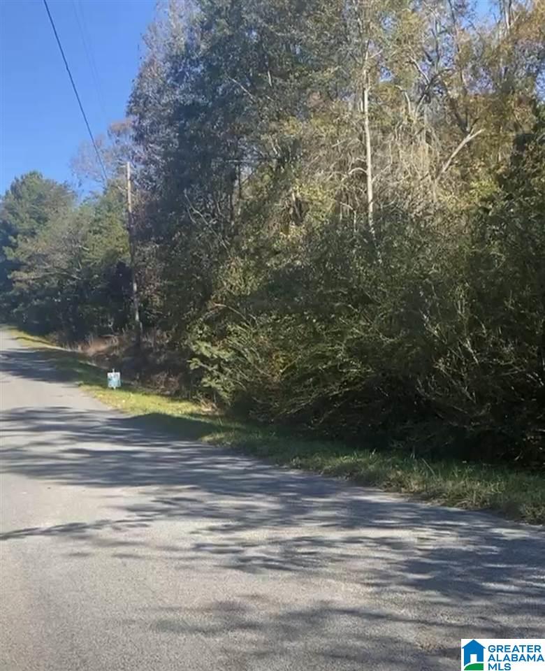 0 County Road 774, Unit 5R Montevallo, AL 35115 - Photo 3 of 3