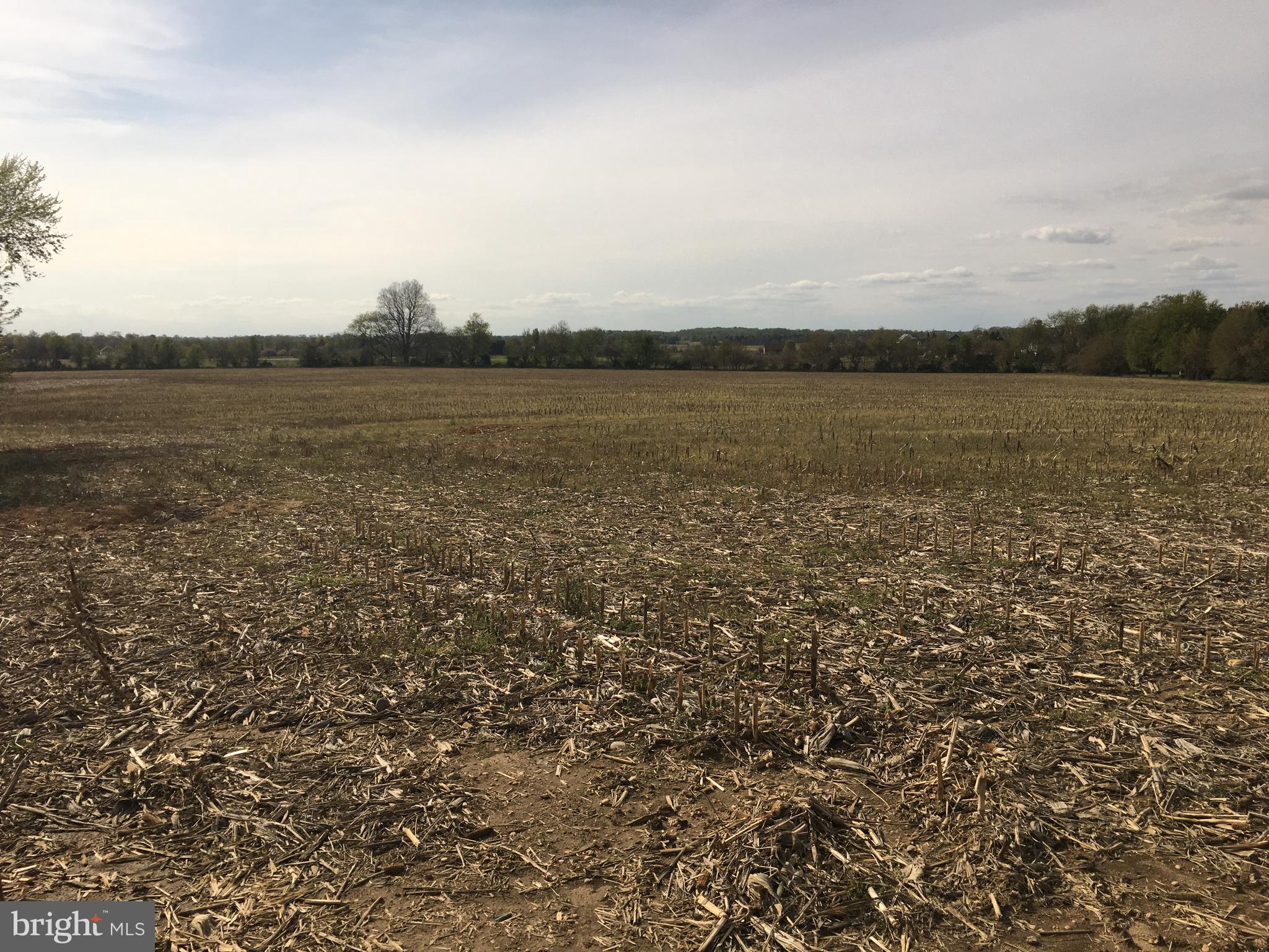 1099 Highway 45 Pilesgrove, NJ 08098 - Photo 20 of 20 View of the 45 acres of farmland from the patio.