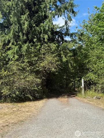 a view of outdoor space and trees