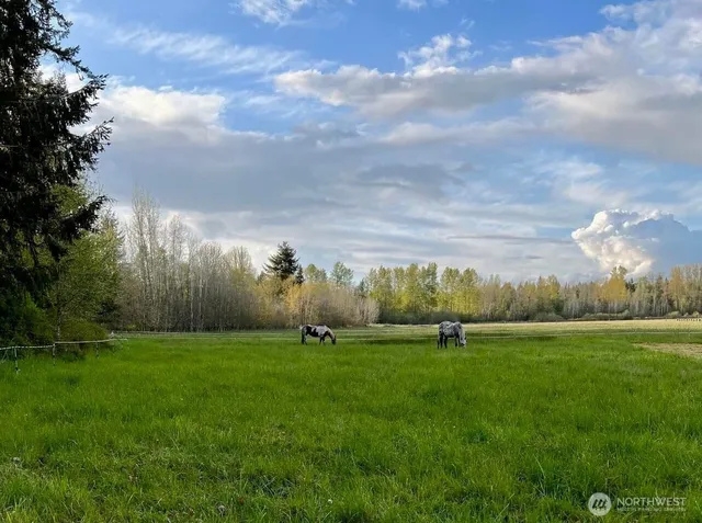 a view of a green field
