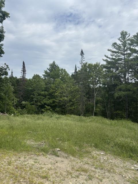 65 Wilder Hill Road Norridgewock, ME 04957 - Photo 2 of 2 IMG_3521