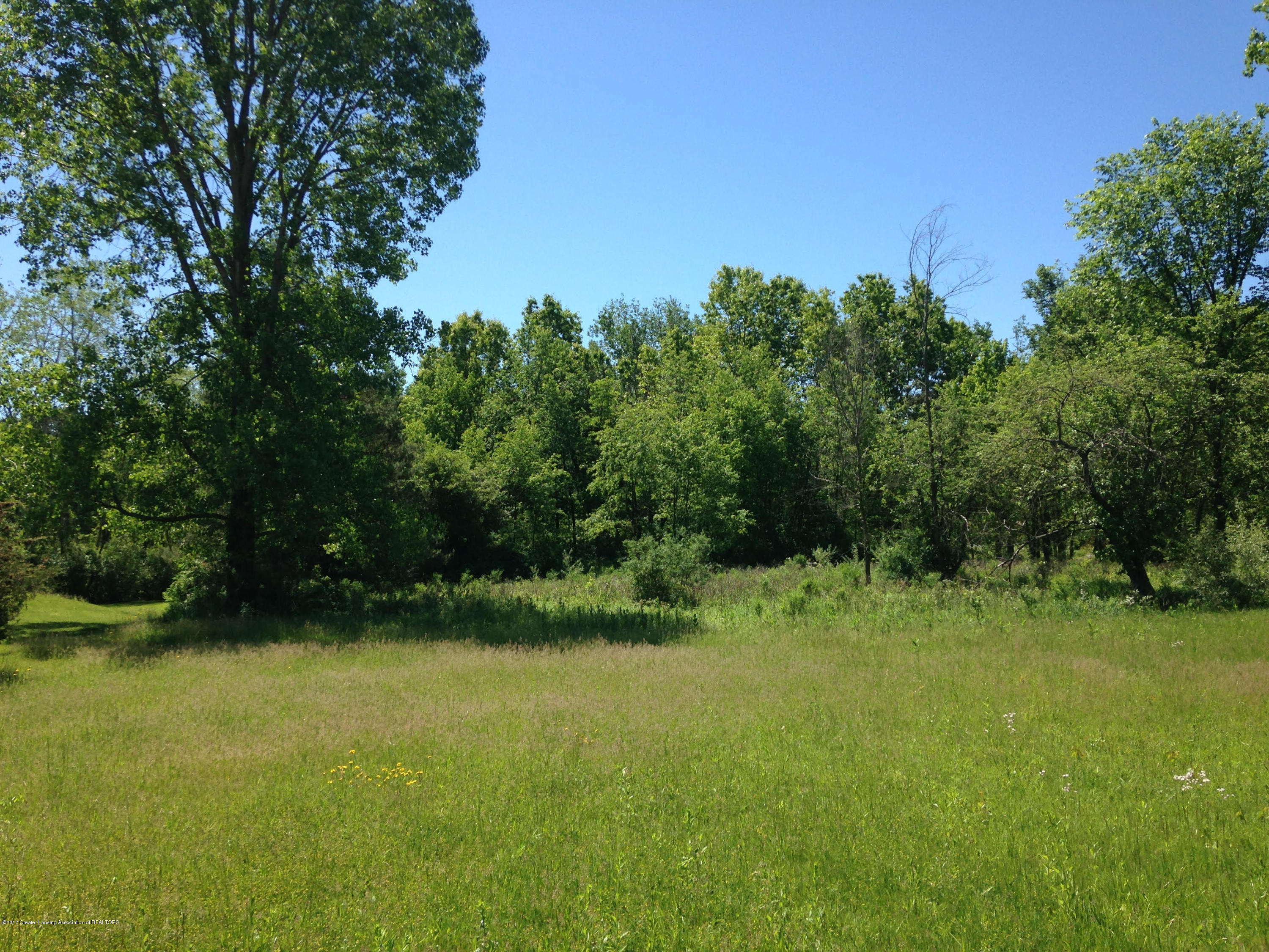 Lot 51 East Herbison Road Dewitt, MI 48820 - Photo 1 of 3 From Herbison Rd