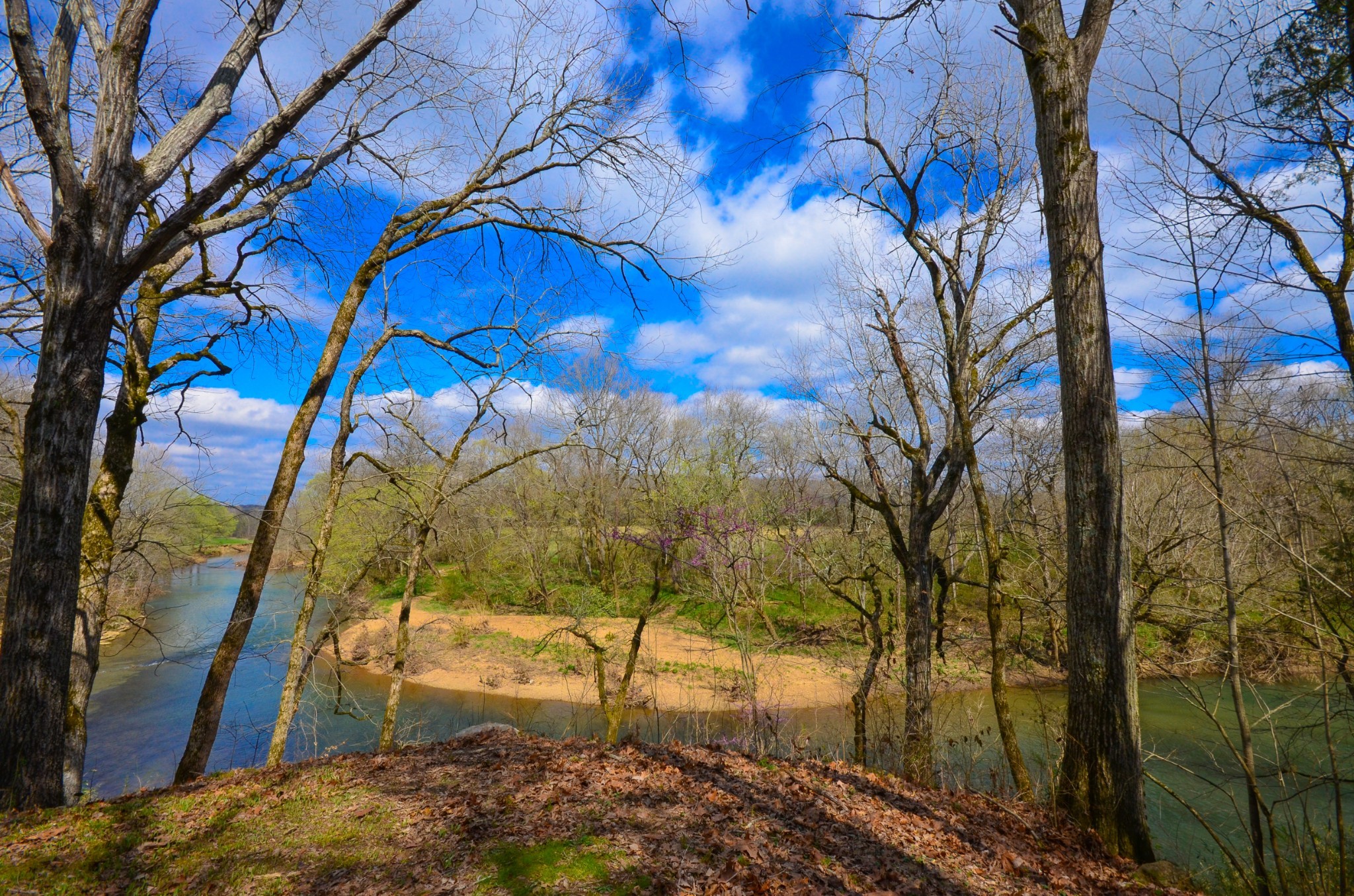 808 West Trimble Road Milton, TN 37118 - Photo 30 of 36 Gallery Image 30