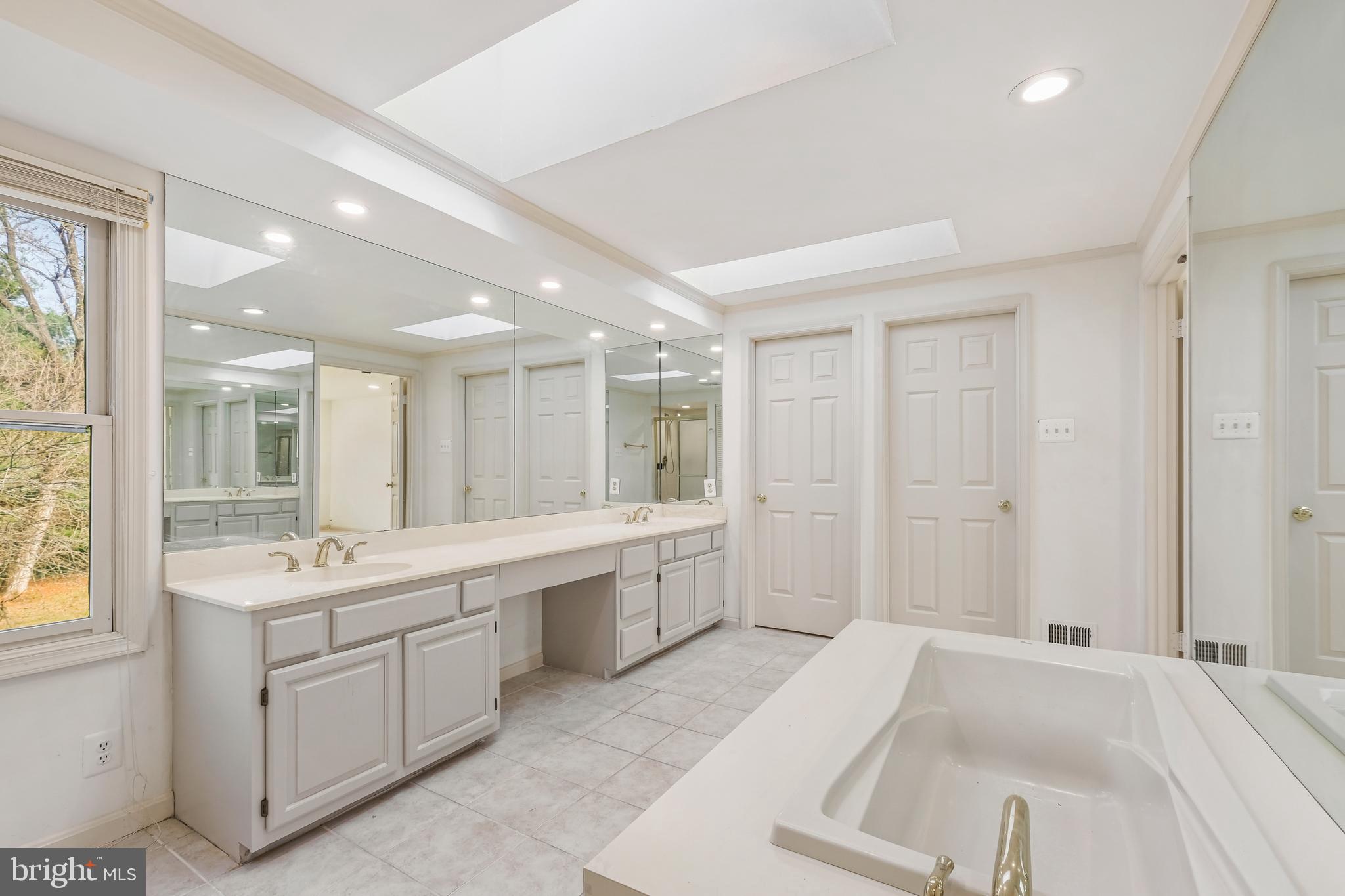 13905 Huxley Cove Court Silver Spring, MD 20906 - Photo 20 of 30 a spacious bathroom with a sink mirror and a bath tub