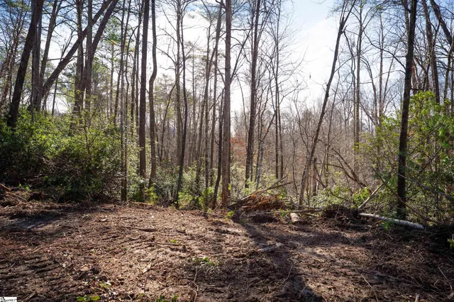 $149,000 | 126 Vly Lk Trail, Travelers Rest, SC 29690
