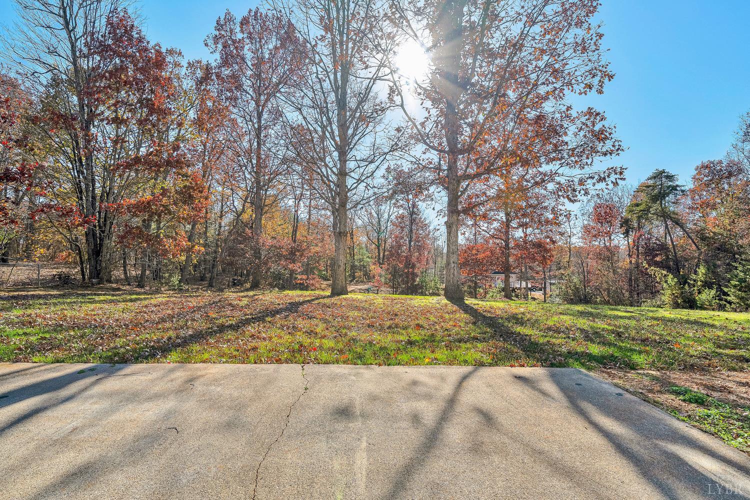 3949 Diamond Hill Road Moneta, VA 24121 - Photo 26 of 30 a view of yard with tree in the background