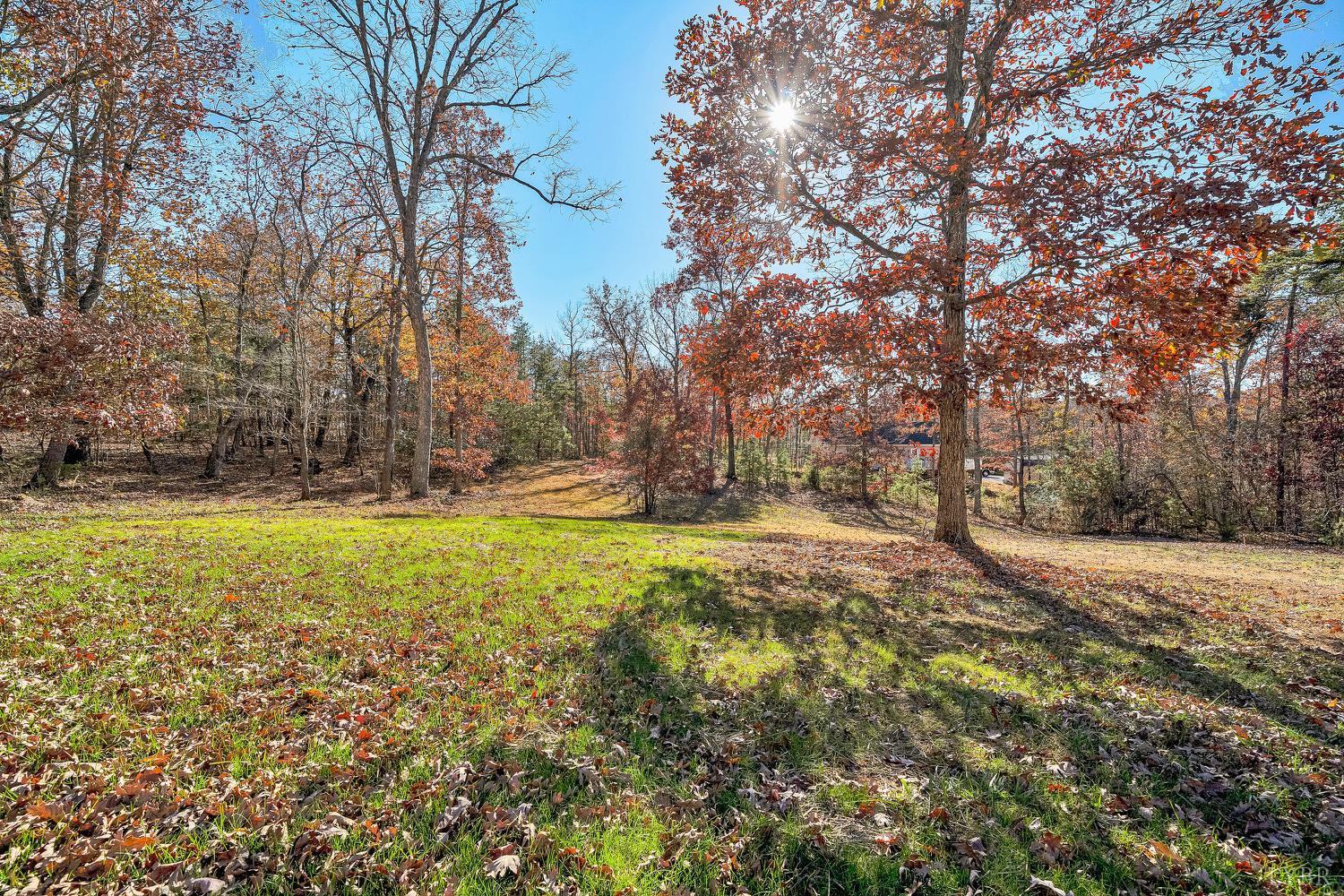 3949 Diamond Hill Road Moneta, VA 24121 - Photo 29 of 30 a view of yard with tree