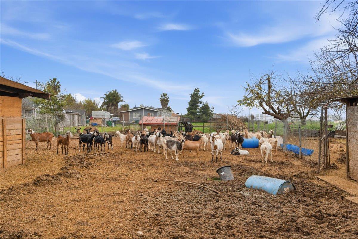 3902 Arch Road Stockton, CA 95215 - Photo 5 of 30 a view of a yard with a slide