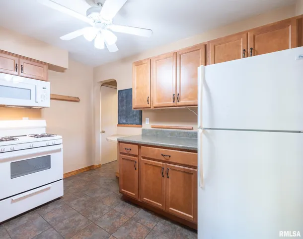 $133,900 | 207 West Maywood Avenue, Peoria, IL 61604