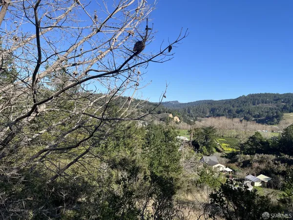 a view of a vase of flowers sitting on a table