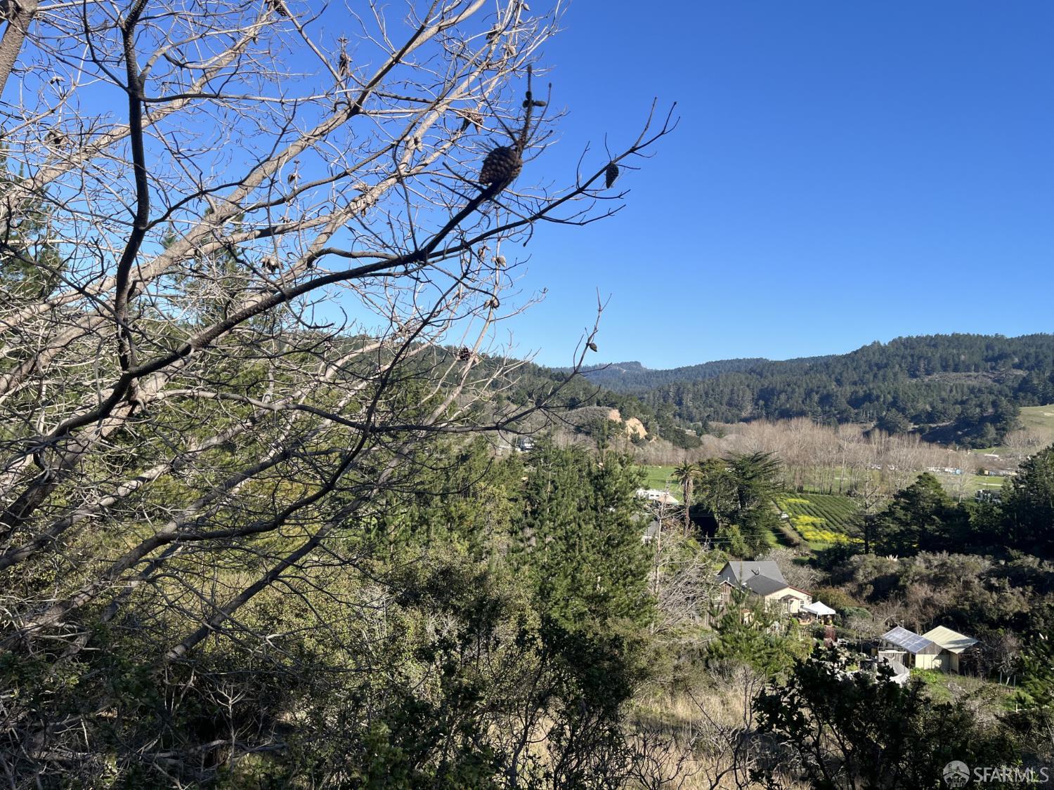 5631 Cloverdale Road Pescadero, CA 94060 - Photo 2 of 19 a view of a forest