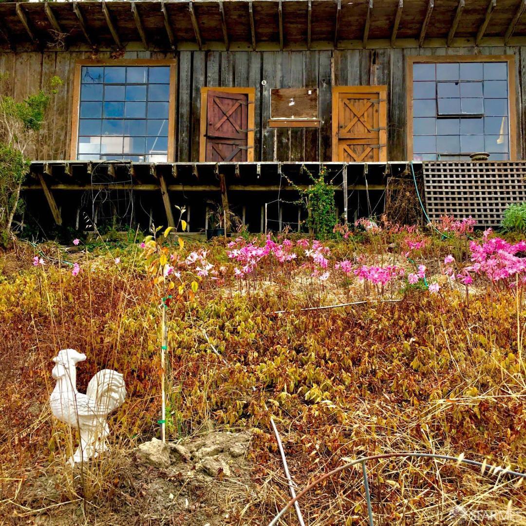 5631 Cloverdale Road Pescadero, CA 94060 - Photo 4 of 4