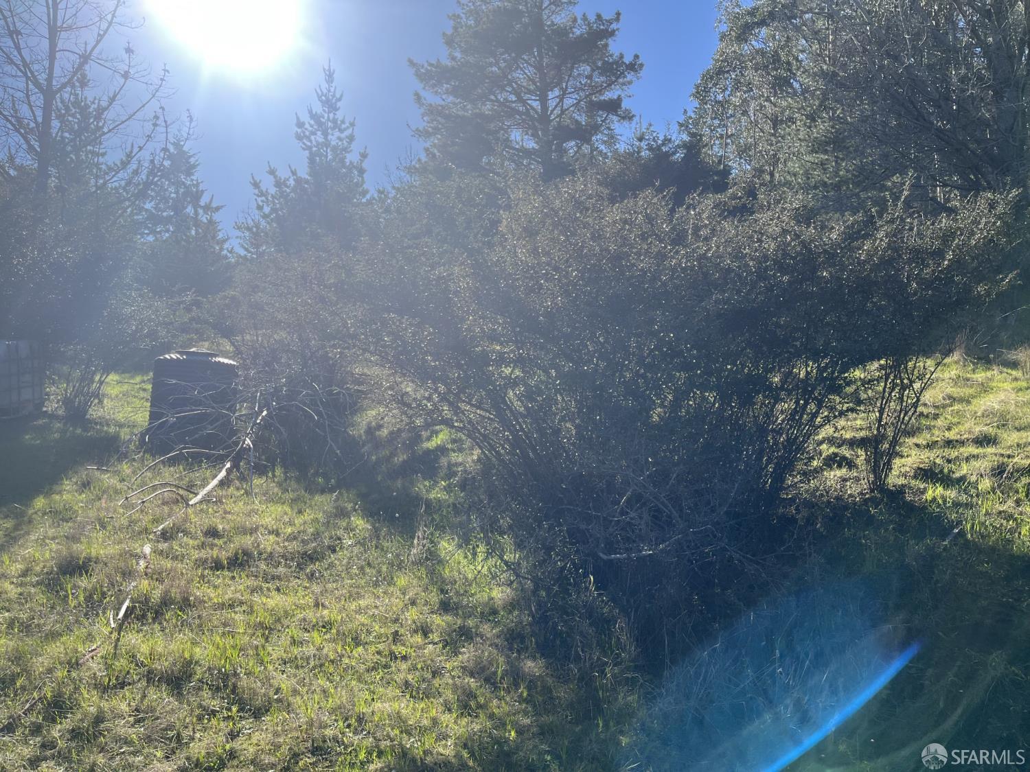 5631 Cloverdale Road Pescadero, CA 94060 - Photo 6 of 19 a view of a yard