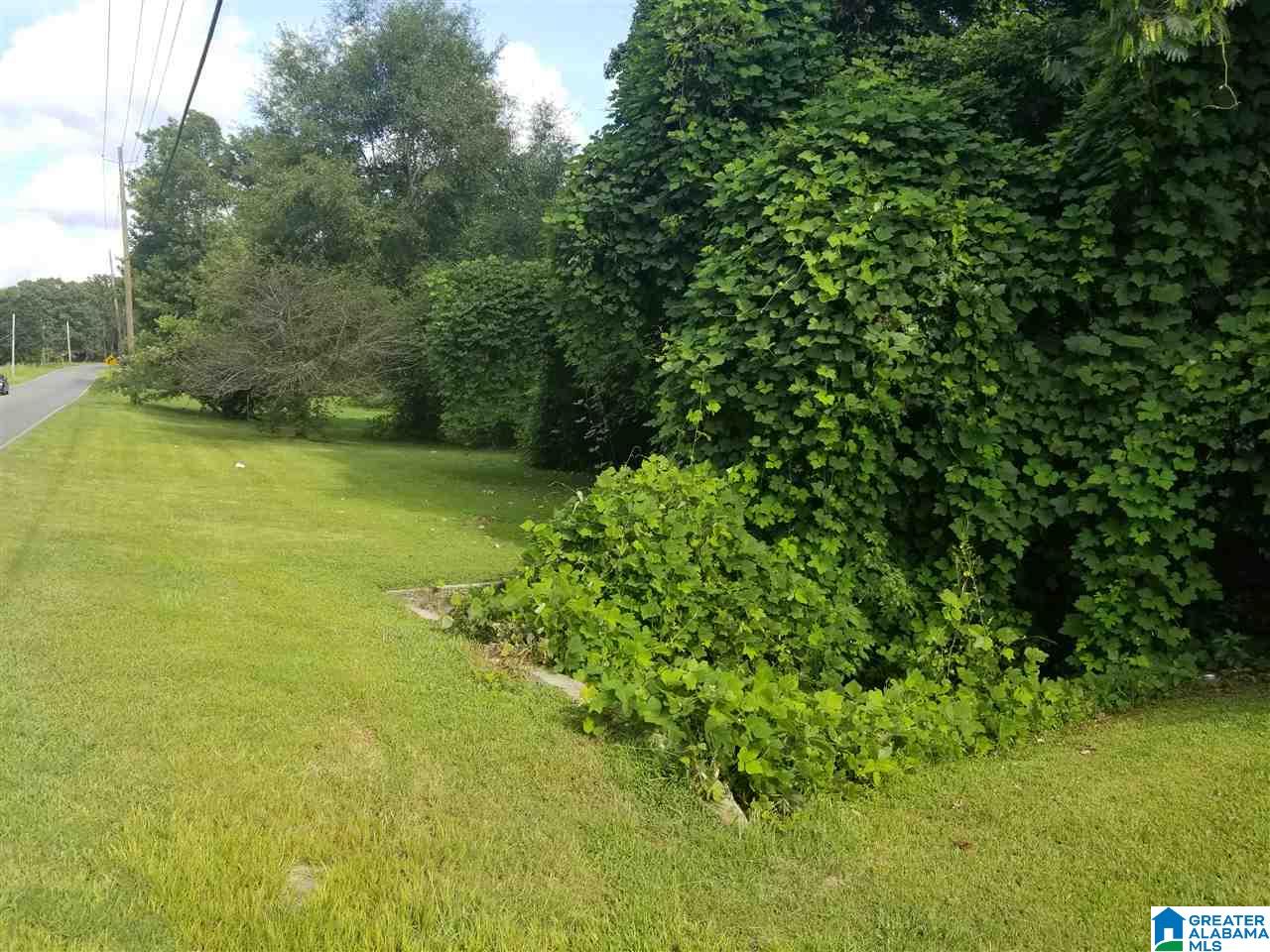 6524 Warrior River Road Bessemer, AL 35023 - Photo 14 of 50