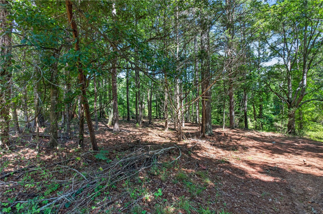 0 Seneca Springs Landing Road Seneca, SC 29678 - Photo 12 of 39 Mature trees and natural ground cover define this private, wooded lot.