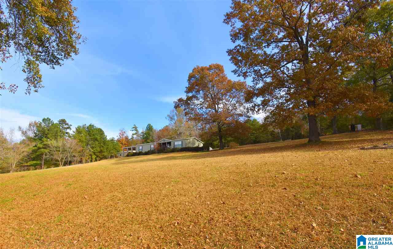 5060 Cox Cove Road Hayden, AL 35079 - Photo 1 of 20