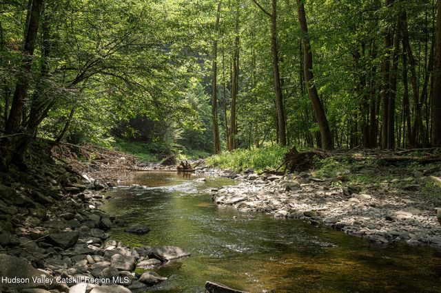 a plant view in yard